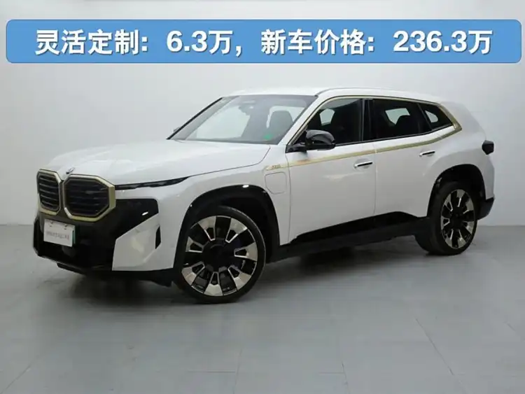 BMW XM 2023 Basic Model