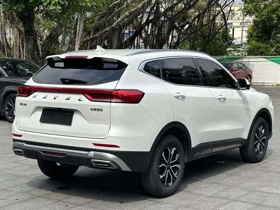 Haval H6 2023 National Trend Edition 1.5T Automatic Urban Version