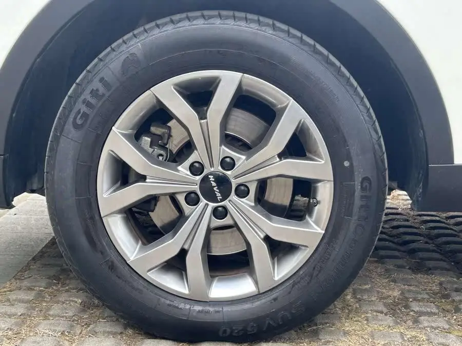 هافال H6 2021 إصدار الاتجاه الوطني 1.5GDIT النسخة الأوتوماتيكية البطل