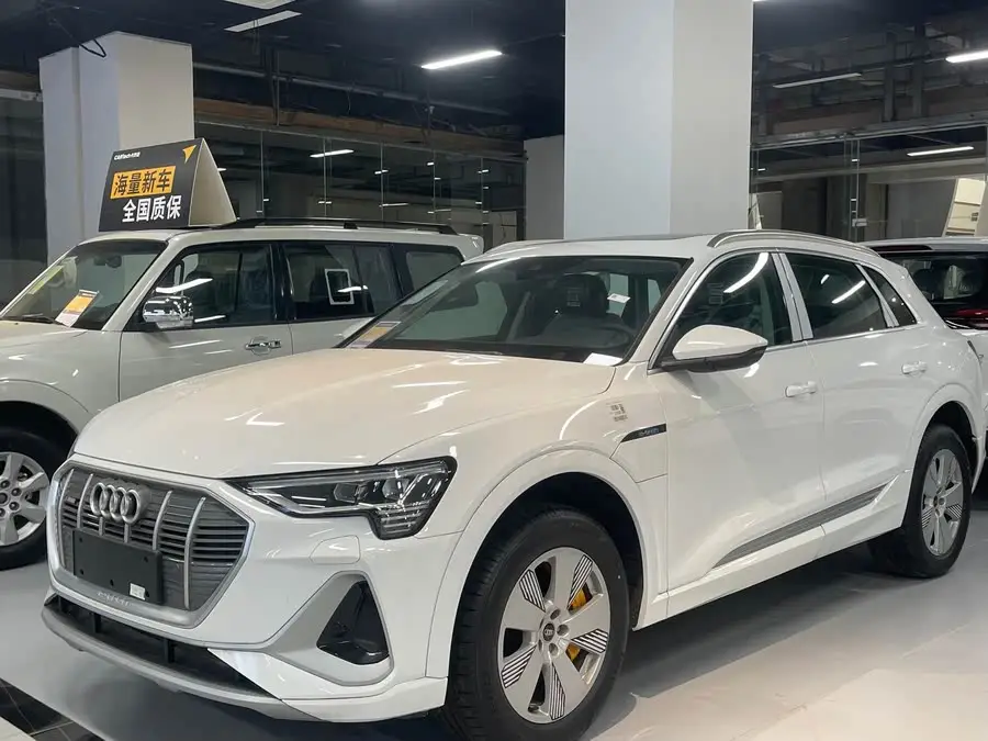 Audi e-tron 2021 50 quattro Luxury