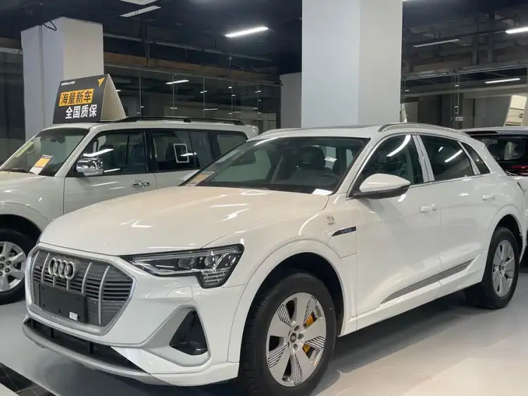 Audi e-tron 2021 50 quattro Luxury