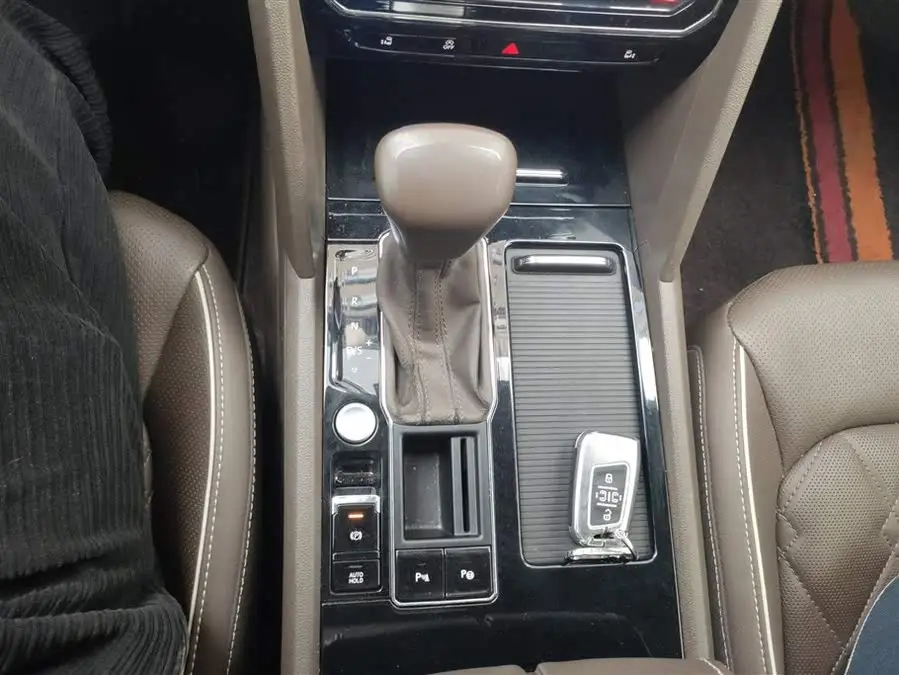 Weiran 2020 Model 380TSI Premium Edition