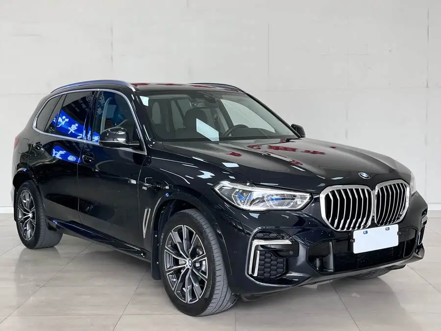 BMW X5 2022 xDrive 30Li M Sport Package