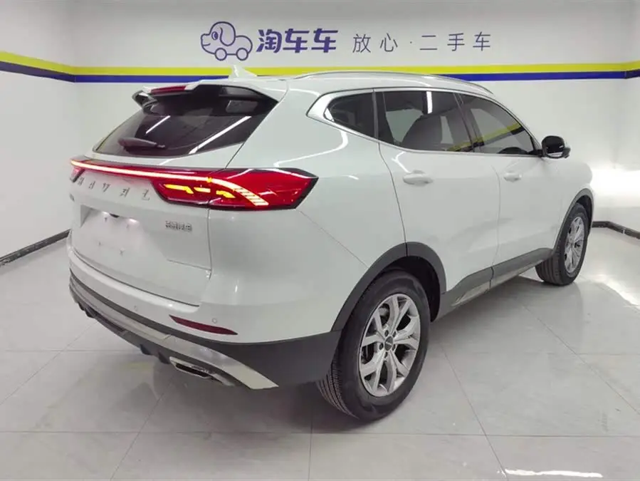 Haval H6 2021 National Trend Edition 1.5T Automatic Champion Version