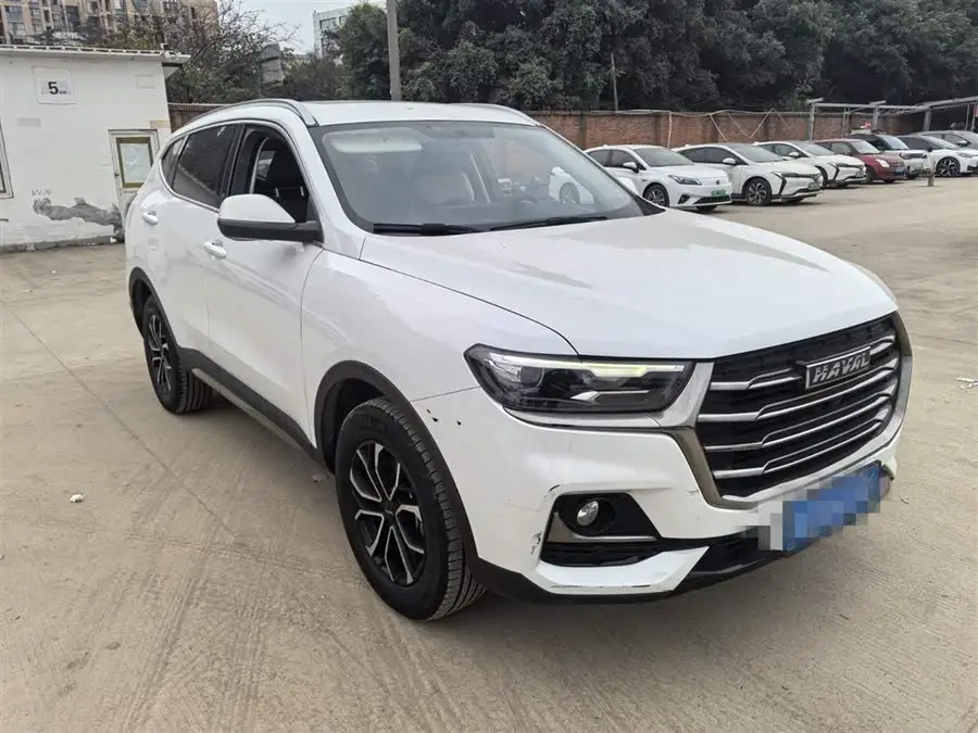 Haval H6 2021 National Trend Edition 1.5T Automatic Urban Version