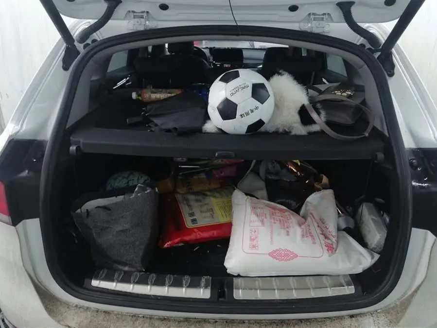 BMW X1 2020 sDrive25Li Leading Edition