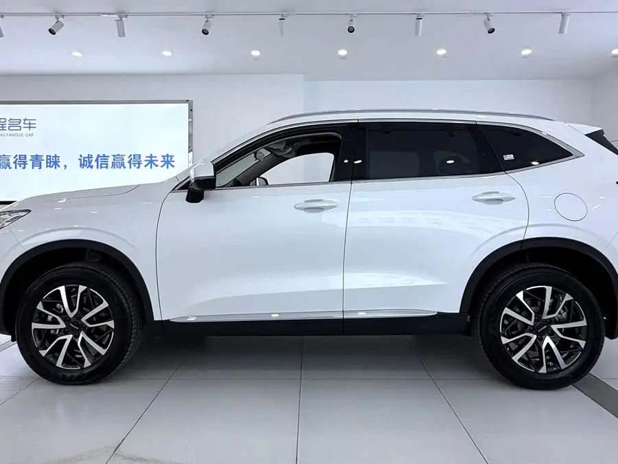 Haval H6 2024 1.5T Two-Wheel Drive Max