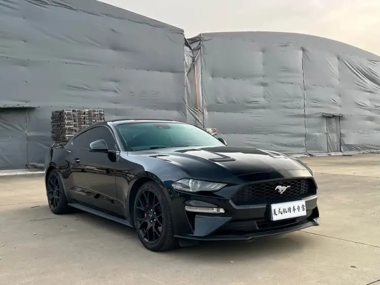 2020 Mustang 2.3L EcoBoost