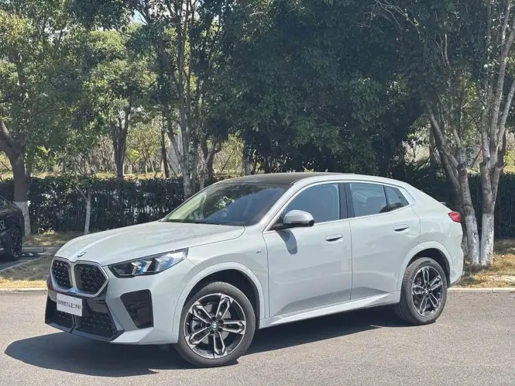 BMW X2 (Import) 2024 Model sDrive25i M Sport Package