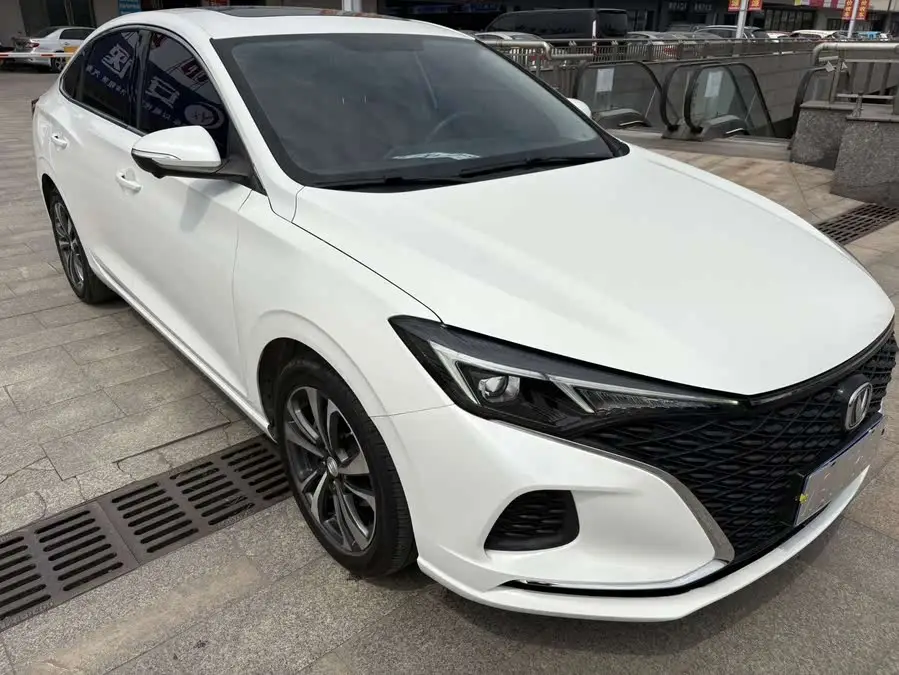 Yidong 2020 PLUS Blue Whale NE 1.4T GDI DCT Fengshang Model