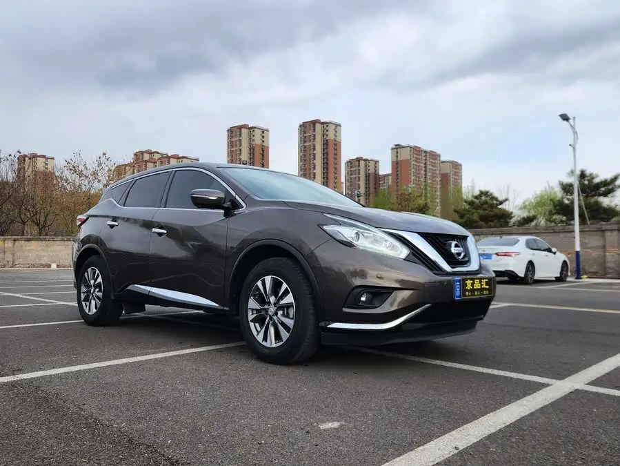 LuoLan 2019 2.5L XL Two-Wheel Drive Intelligent Luxury Version National VI