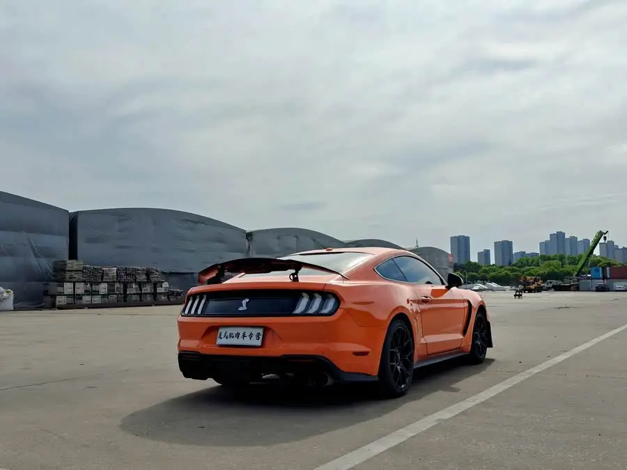 موستانغ 2019 2.3 لتر إيكوبوست