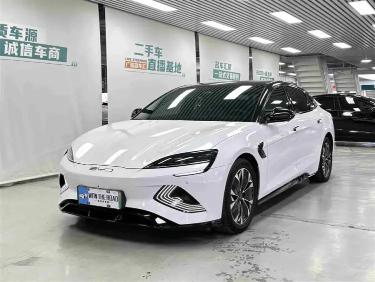 Sealion 2022 Model 550km Standard Range Rear-Wheel Drive Premium Version