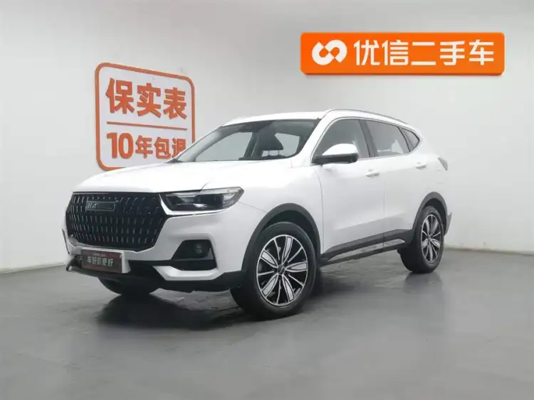 Haval H6 2023 National Tide Edition 1.5T Automatic Champion Version