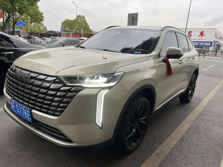 Haval H6 2024 1.5T Two-Wheel Drive Max