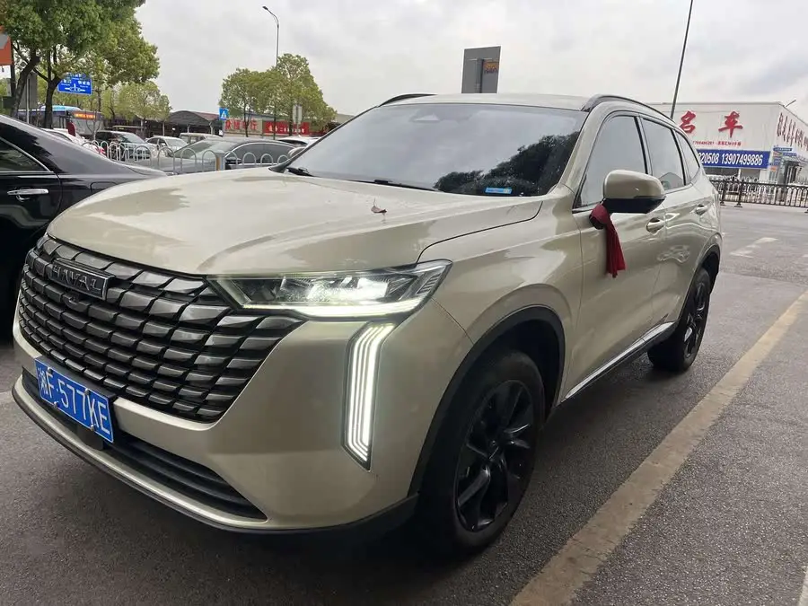 Haval H6 2024 1.5T Two-Wheel Drive Max