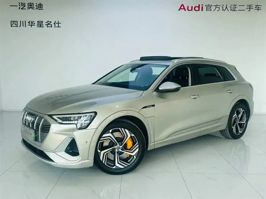 Audi e-tron 2021 50 quattro Selection