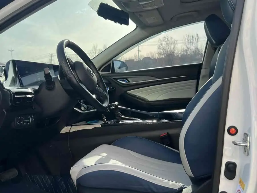 Yidong 2020 PLUS Blue Whale NE 1.4T GDI DCT Flagship Model