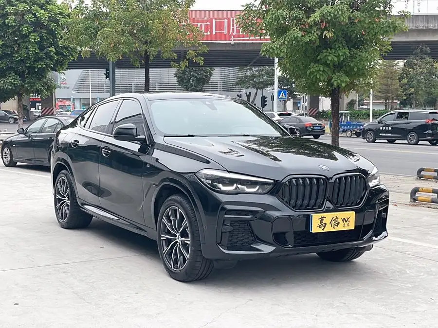 بي إم دبليو X6 2022 تعديل xDrive30i حزمة رياضية M