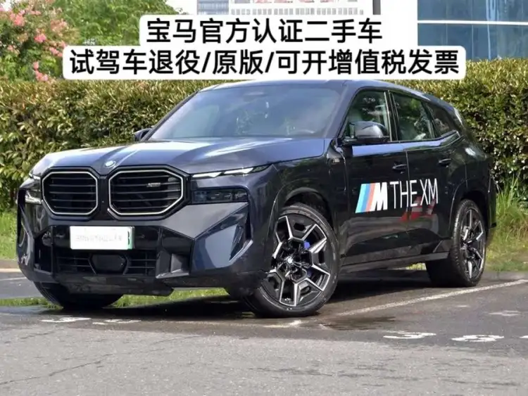 BMW XM 2023 Basic Model