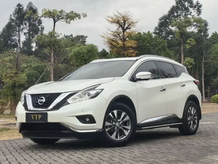 Loulan 2021 2.5L XL Plus Two-Wheel Drive Intelligent Leading Version