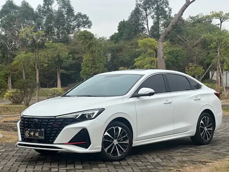 Yidong 2022 Plus Blue Whale NE 1.4T GDI DCT Flagship Version