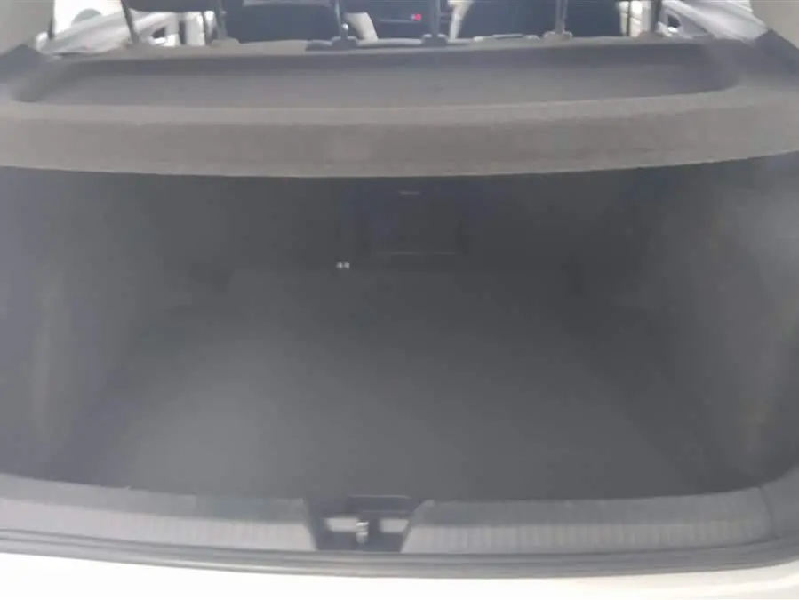 Golf 2021 280TSI DSG Pro