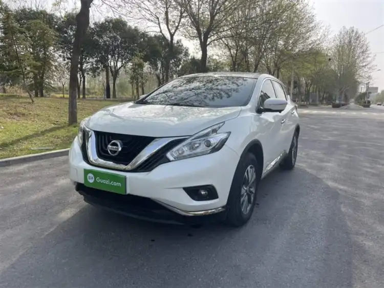 LuoLan 2021 2.5L XE Two-Wheel Drive Elite Edition