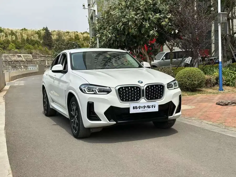 BMW X4 2022 xDrive 25i M Sport Package