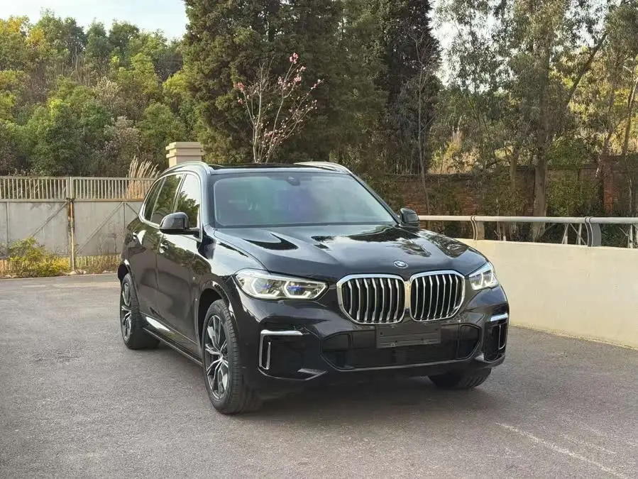 BMW X5 2022 xDrive 30Li Premium M Sport Package