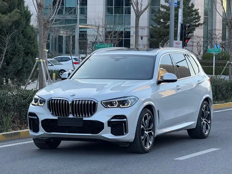 BMW X5 2022 xDrive 40Li M Sport Package