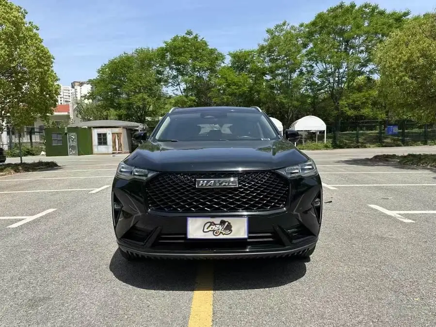 Haval H6 2021 Model Third Generation 2.0T Automatic Two-Wheel Drive Max