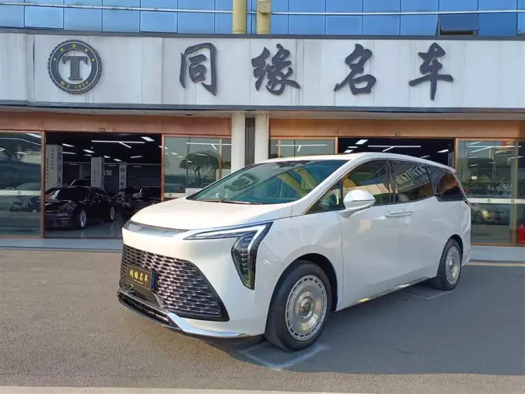 2023 Century 2.0T Six-Seater Yunshi Edition