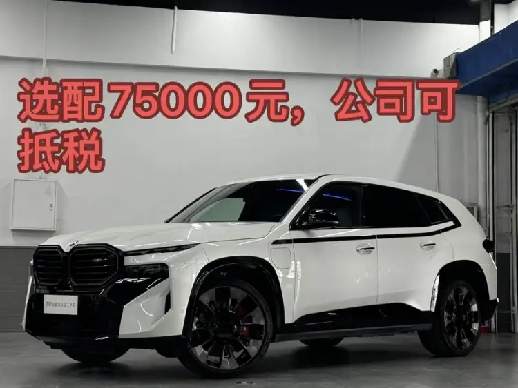 BMW XM 2023 Basic Model