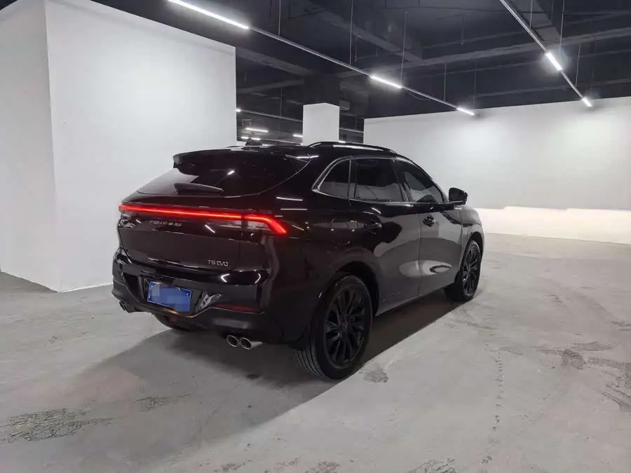 Fengxing T5 EVO 2021 1.5TD DCT Star Edition