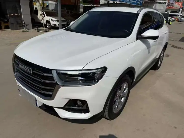 Haval H6 2021 National Trend Edition 1.5T Automatic Urban Version