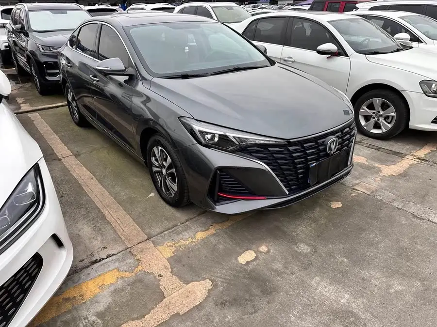 Yidong 2023 Model Changxiang Plus Blue Whale NE 1.4T GDI DCT Premium Edition