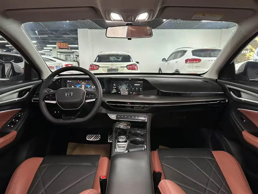 Yidong 2022 Plus Blue Whale NE 1.4T GDI DCT Flagship Version