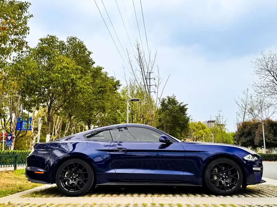 موستانغ 2020 2.3 لتر إيكوبوست