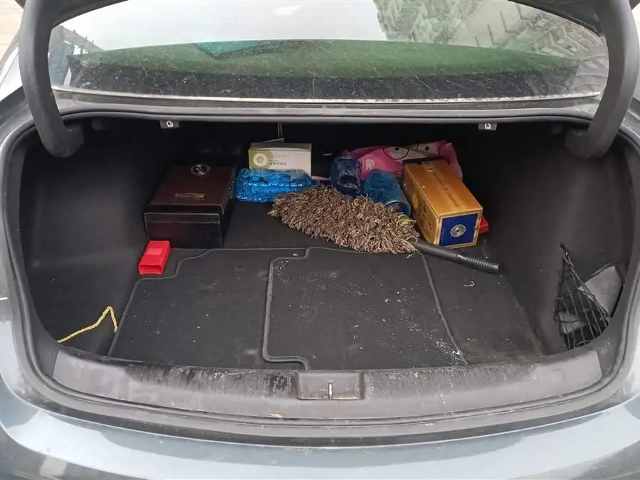 بيوك ريجال 2020 552T النخبة