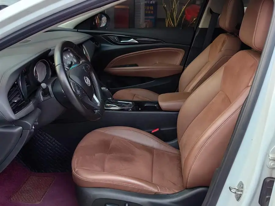 2019 بيك  ريجال 20T النخبة الوطنية VI