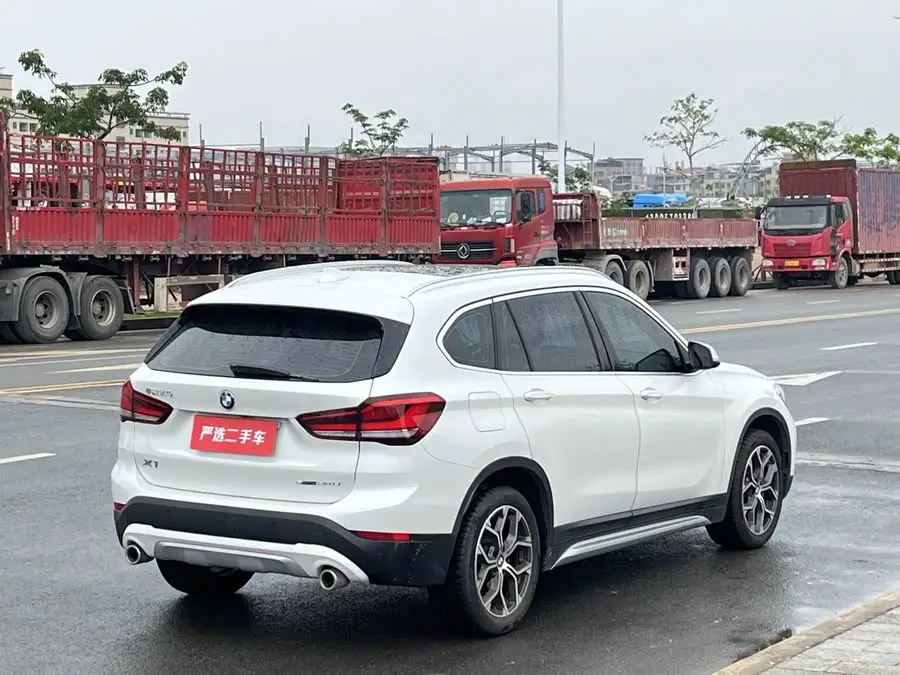 2020 BMW X1 sDrive20Li Luxury