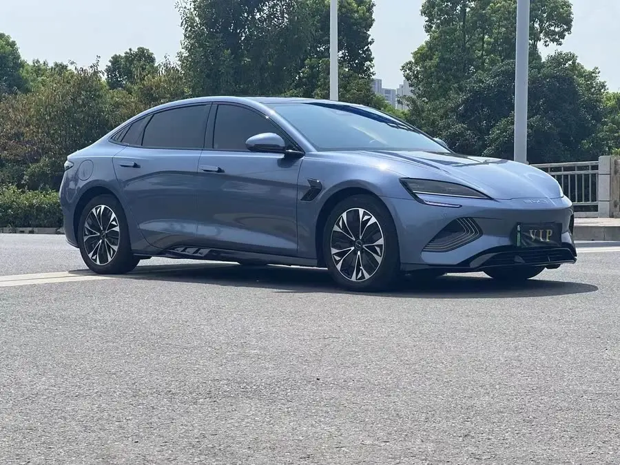 Sealion 2024 Honor Edition 550km Premium Model