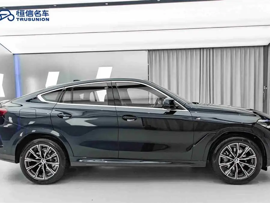 BMW X6 2021 xDrive30i M Sport Package