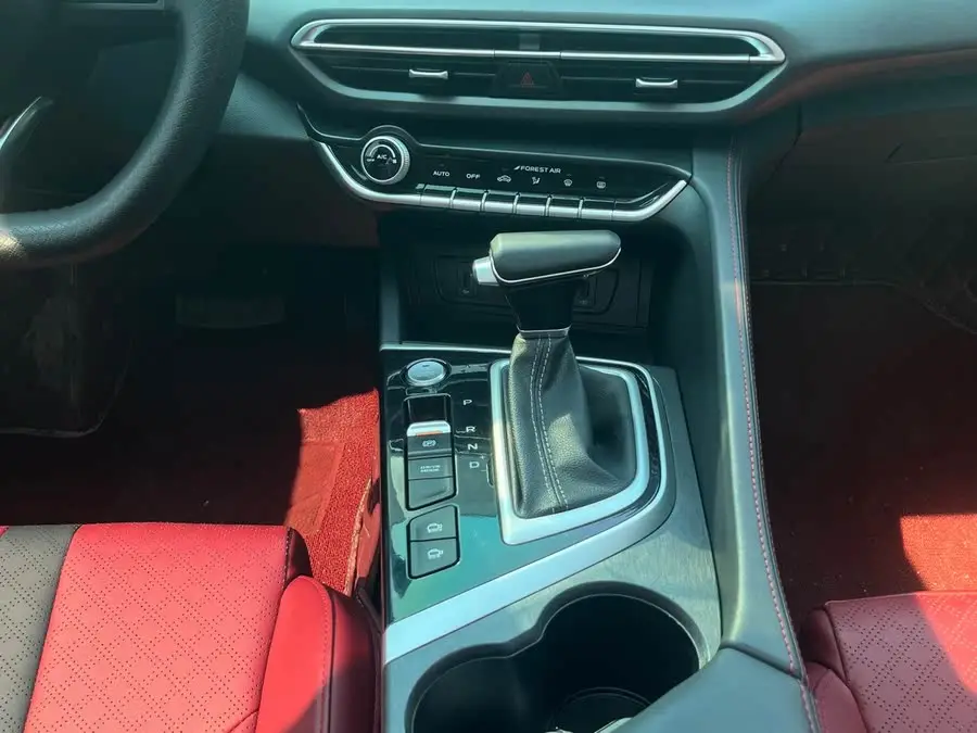 Yidong 2022 Plus Blue Whale NE 1.4T GDI DCT Premium Edition