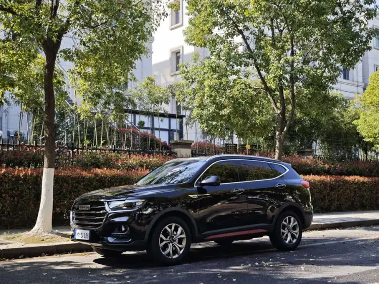 Haval H6 2021 National Trend Edition 1.5GDIT Automatic Champion Version