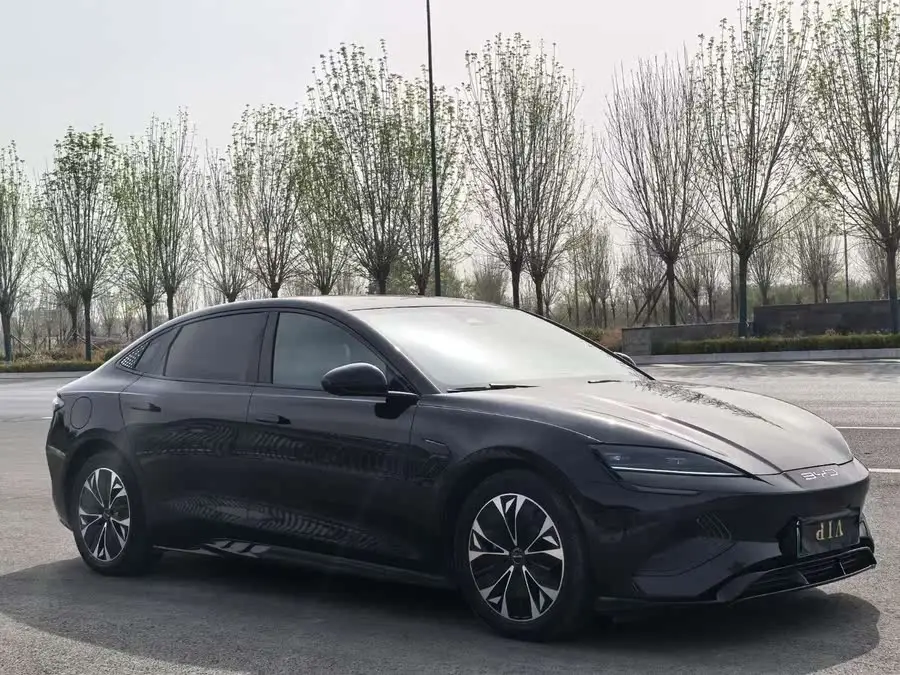 Sealion 2022 Model 550km Standard Range Rear-Wheel Drive Premium Version