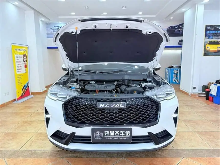 هافال H6 2021 الطراز الجيل الثالث 2.0T أوتوماتيكي دفع ثنائي ماكس