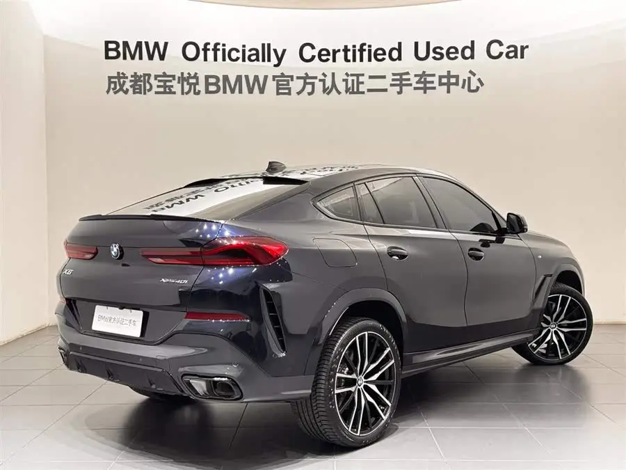 BMW X6 2022 xDrive40i Luxury M Sport Package