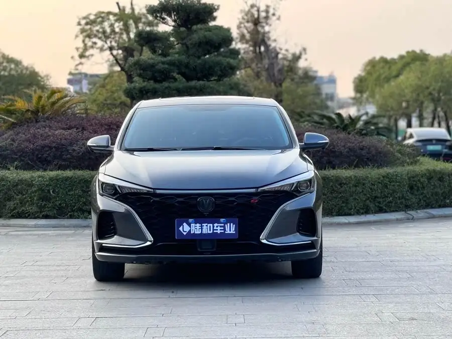 Yidong 2022 Plus Blue Whale NE 1.4T GDI DCT Flagship Version